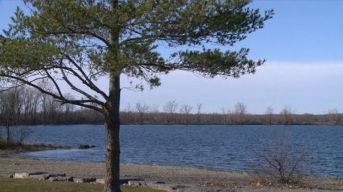 City of Ottawa planning to plant 24 commemorative trees, not 4,800, to mark Bytown’s 200th birthday