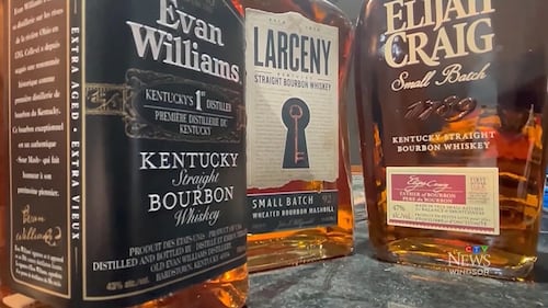Alcohol ban ‘had its time’ and must end for deal with U.S., says trade advisor