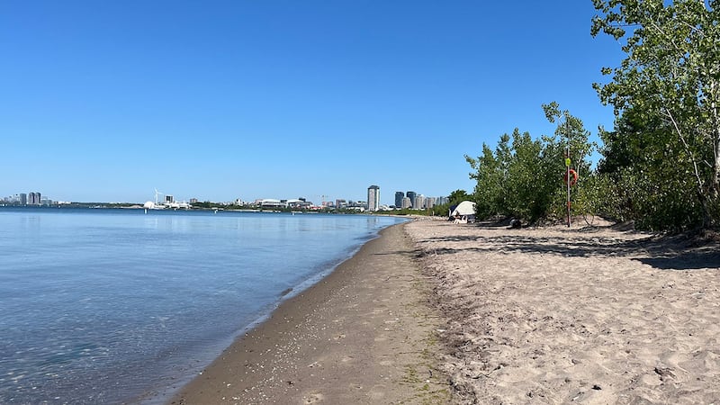 This Toronto beach is showing signs of erosion. An advocacy group says the city is not acting fast enough.