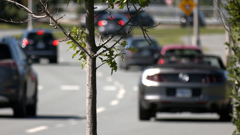 Traffic delays expected for upcoming road work on Larry Uteck Boulevard in Bedford, N.S.
