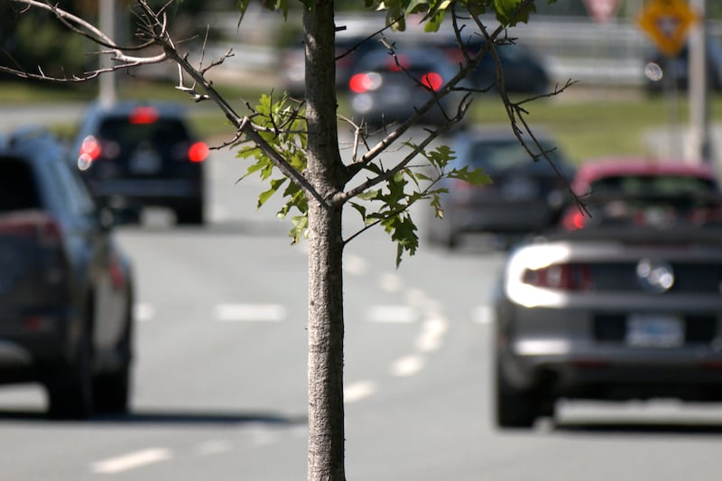Traffic delays expected for upcoming road work on Larry Uteck Boulevard in Bedford, N.S.