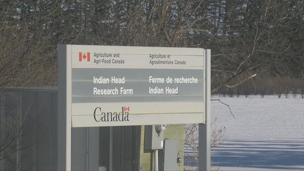 Saskatchewan farm groups warn of impacts as federal research sites face closure