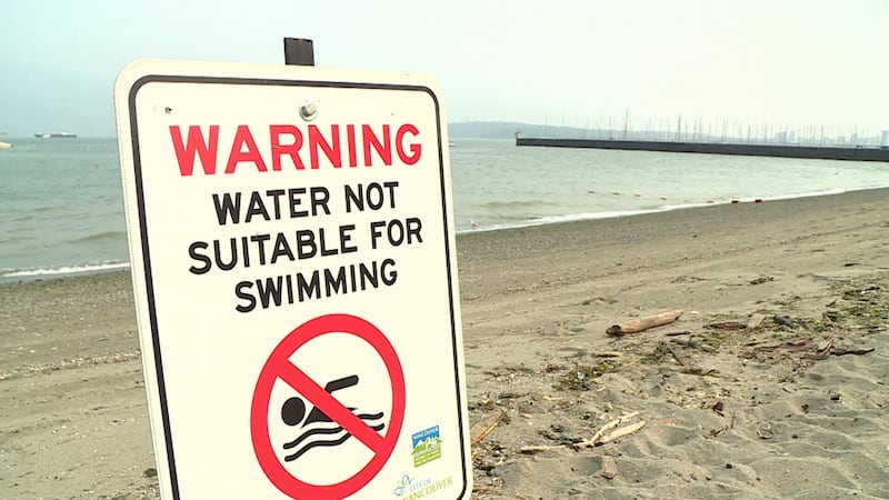 No swimming at several Vancouver beaches due to E.coli