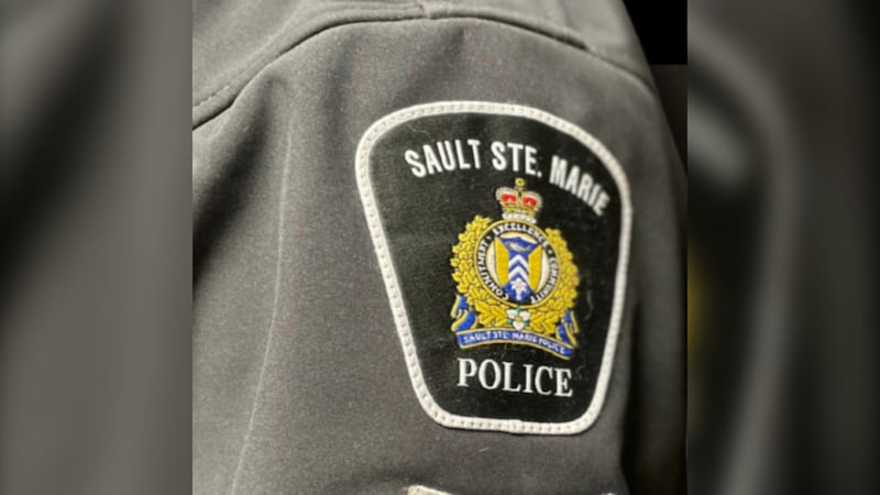 Sault suspect hit dog with a shovel, police say