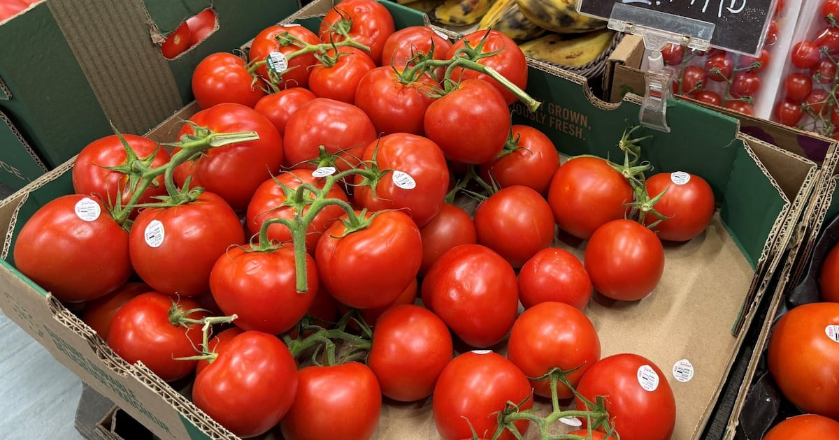 ‘It’s insane’: Groceries keep squeezing Canadians as tomato prices spike ...