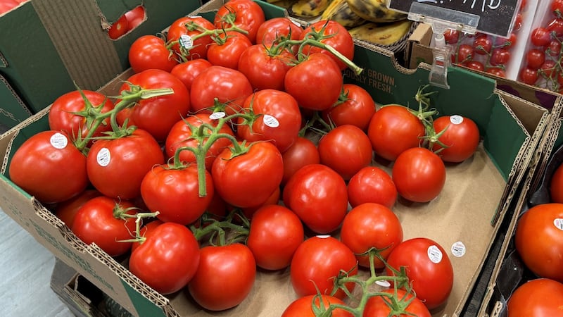 ‘It’s insane’: Groceries keep squeezing Canadians as tomato prices spike 45%, StatCan says