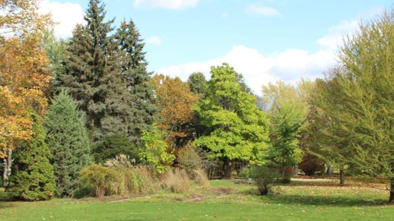Weekend centred on connecting with nature for well-being