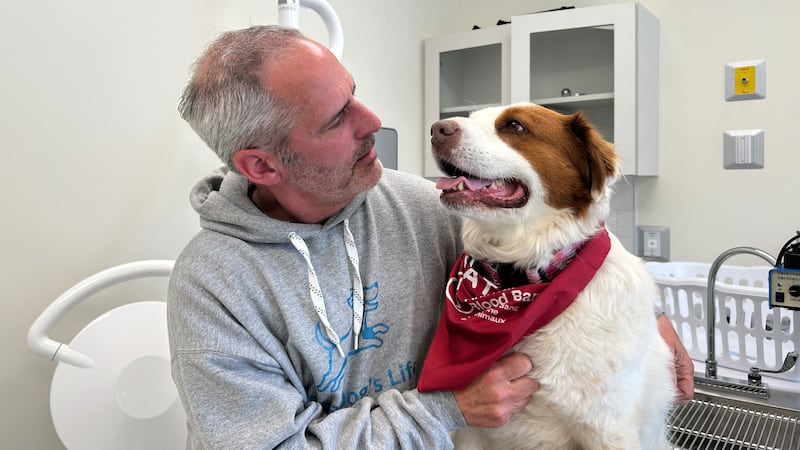 Canadian Animal Blood Bank in Nova Scotia calls for donors