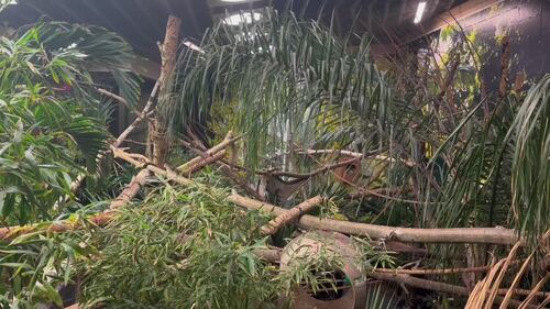 The Edmonton Valley Zoo announced a plan for the next 15 years. Nov. 24, 2025. (Sasha Pietramala/CTV News Edmonton)