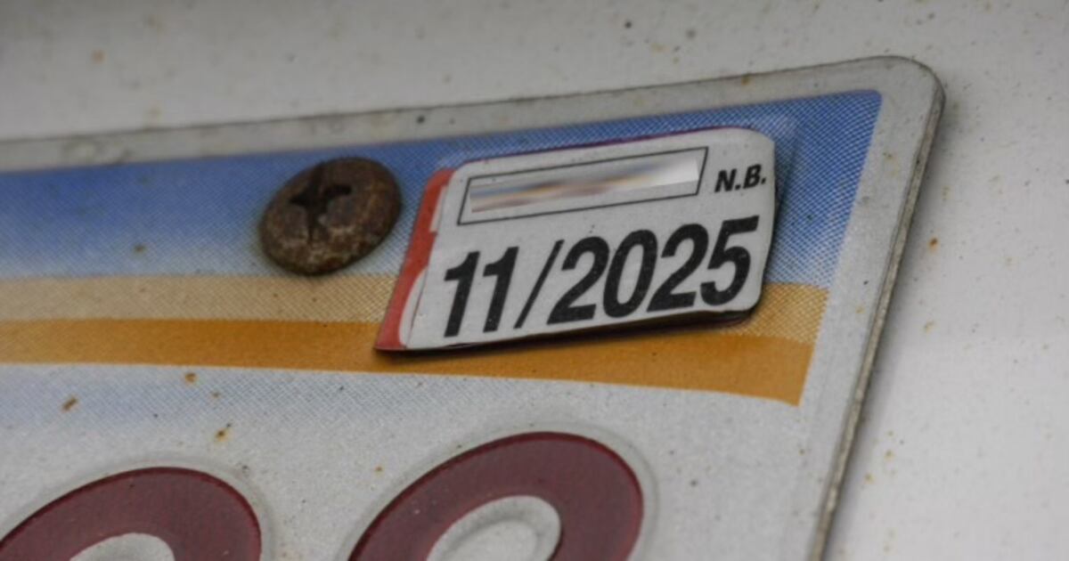 Regostration Sticker N.B. government looks to scrap vehicle registration stickers