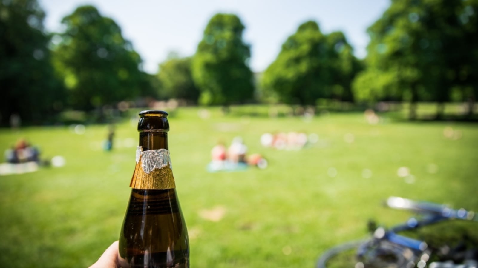 Drinking Alcohol Will Be Allowed In Some Burnaby Parks This Summer drinking-alcohol-will-be-allowed-in-some-burnaby-parks-this-summer