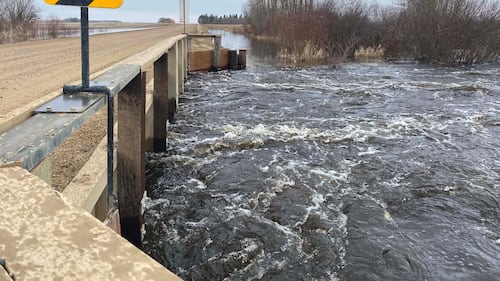 ‘A nightmare’: Farmers react to flooding and high fuel costs in Saskatchewan