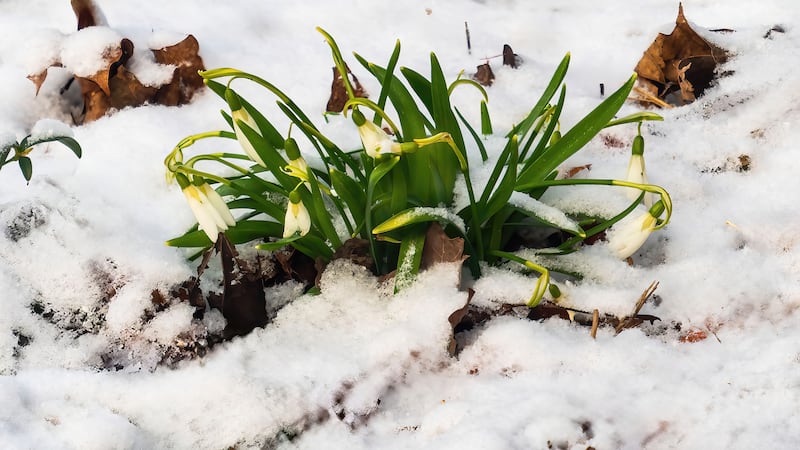 Weather Watchers: Best of Spring 2026