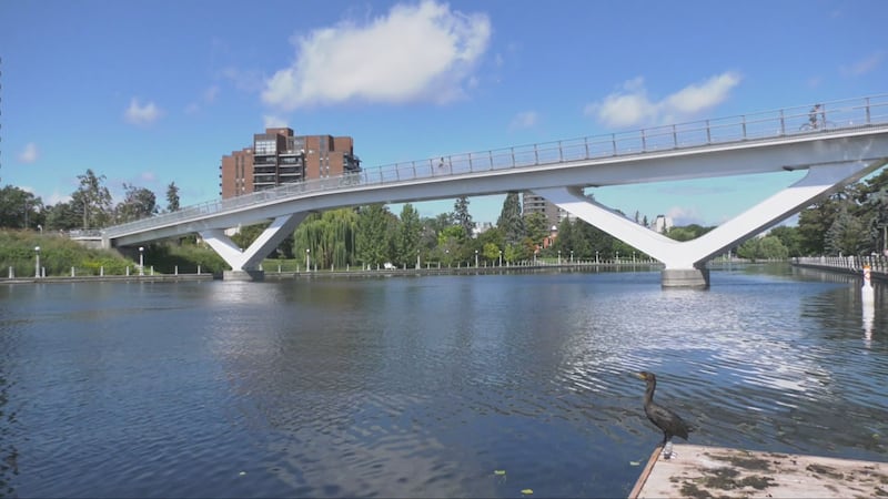 Sunny skies in Ottawa on Labour Day before rainy week