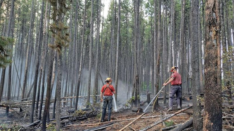Major B.C. fires including Summerland blaze are downgraded, with fall weather on way