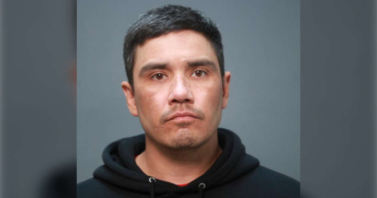 Winnipeg Police Arrest One, Issue Warrant for Another in String of Thefts
