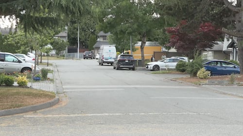 Homes damaged after shots fired from vehicle in Surrey, police