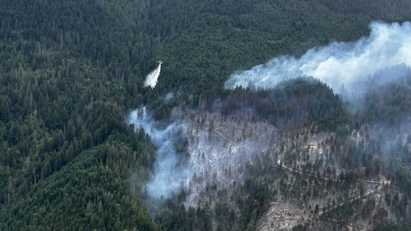 Out-of-control wildfire near Boston Bar, B.C. exceeds 12 square kilometres