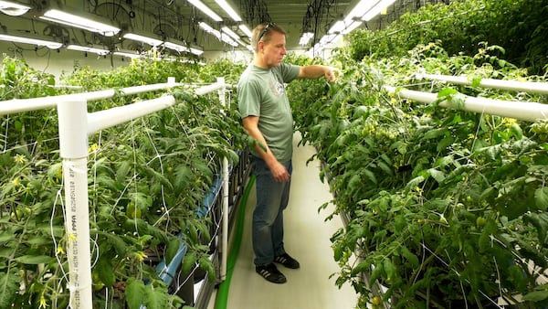 Energro Greenhouses repurposing former cannabis facility to grow produce