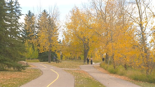 Fall colours in Calgary, as seen on Oct. 2, 2026