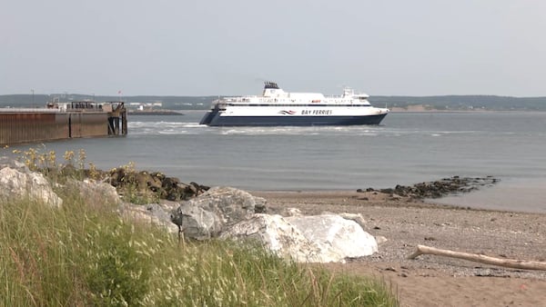 Atlantic Canada ferries see spike in traffic after ferry fares drop