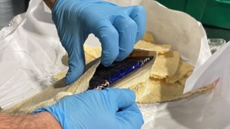 Border services officers find 250 kg of cocaine hidden in flatbread in Halifax container