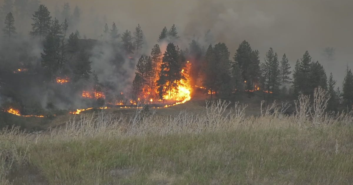 The Bradley Creek wildfire is seen on Aug. 1, 2026.