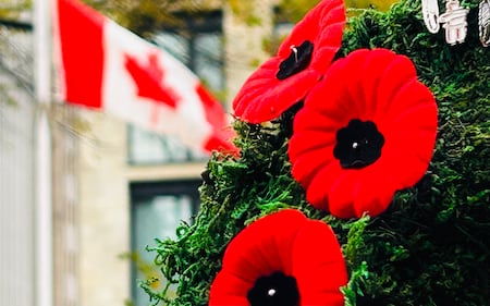 Poppies displayed at Grand Parade in Halifax, N.S. for Remembrance Day ceremony on Tuesday, Nov. 11, 2025. (CTV Atlantic/ Mike Lamb)