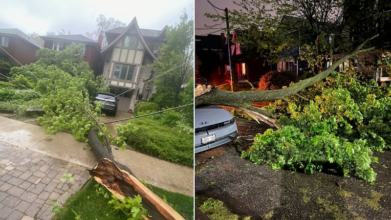 ‘672 emergency incidents’: Cleanup underway following Toronto’s severe rain storm