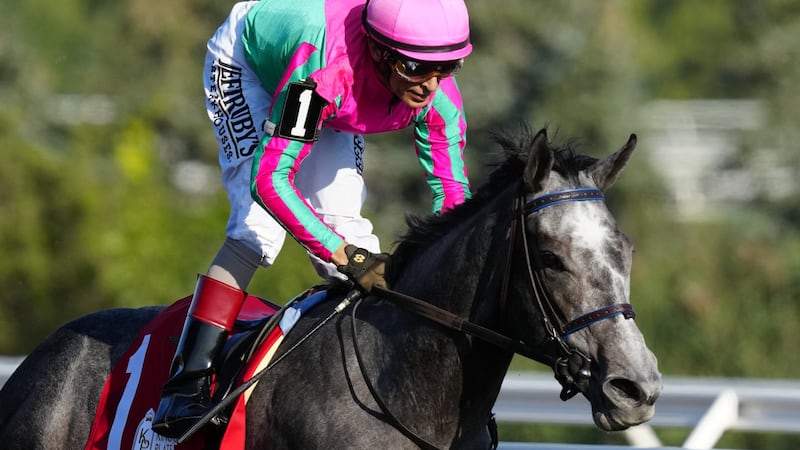 Filly Luster earns emphatic victory in $1-million King's Plate thoroughbred race