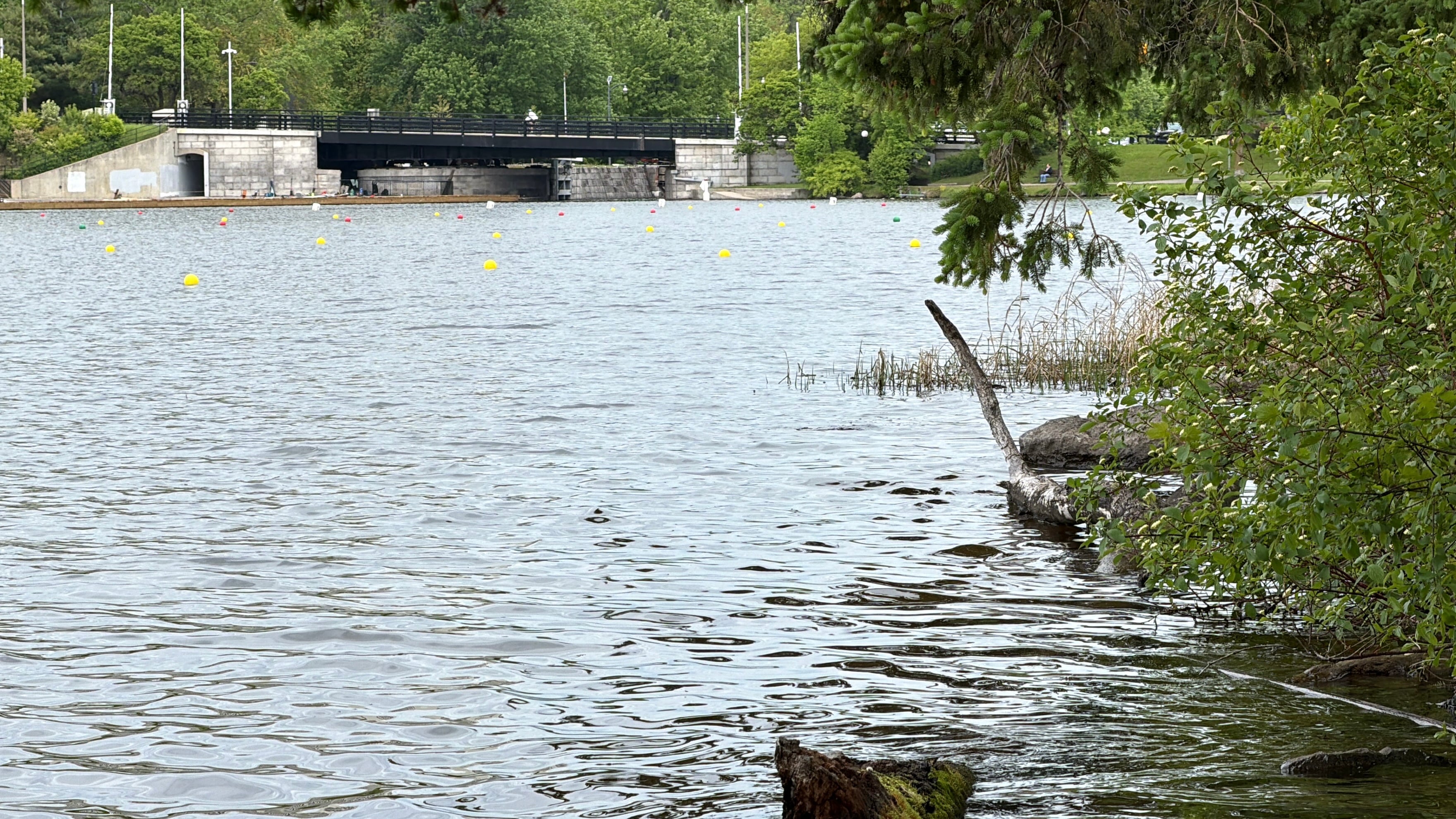 Six-year-old dies after being found in water near Mooney’s Bay