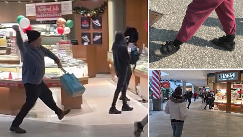 Teen jewelry store thief released after guilty plea in Christmas smash-and-grab