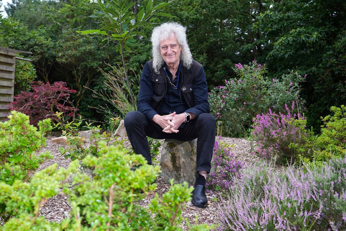 Brian May's daffodil dream rejected as traffic hazard by village council
