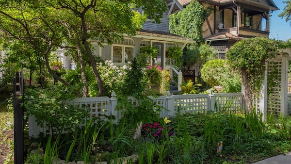 Edmonton Horticultural Society to take over Front Yards in Bloom program