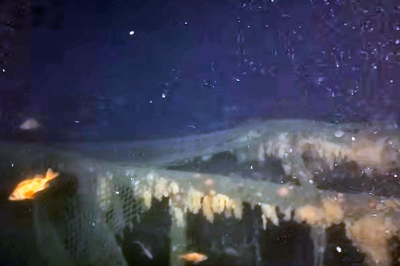 Canadian crew the first to see shipwreck since its sinking