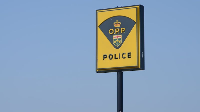 Bodies of two missing swimmers found in Lambton County