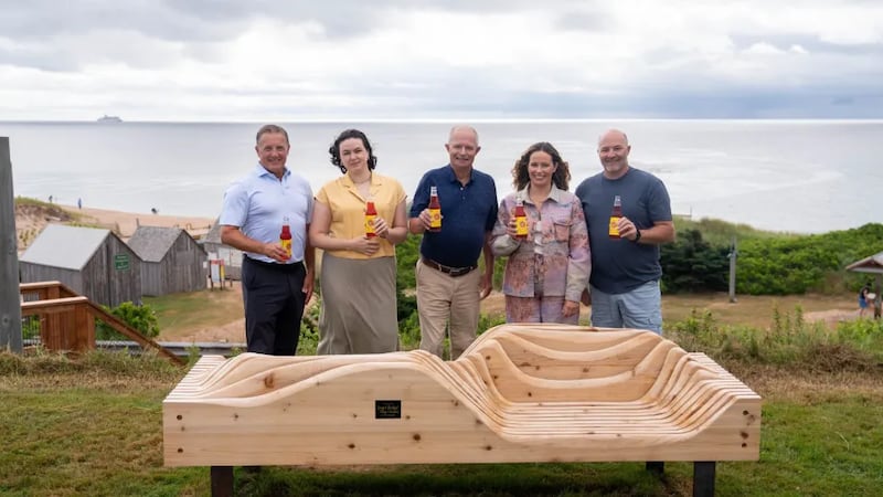 ‘This Summer Will Be Different’: P.E.I. unveils benches inspired by popular book
