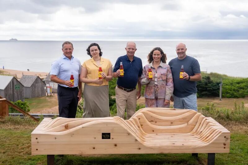 ‘This Summer Will Be Different’: P.E.I. unveils benches inspired by popular book
