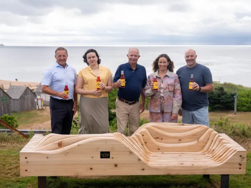 ‘This Summer Will Be Different’: P.E.I. unveils benches inspired by popular book