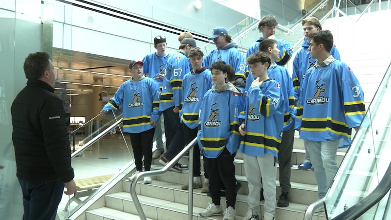 N.L. hockey team will visit Vimy Ridge and other historical caribou statues during trip to Europe