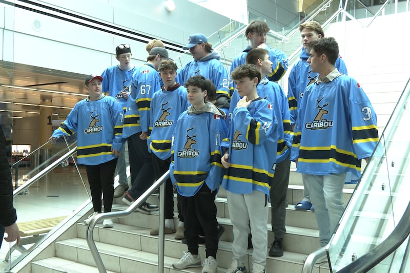 N.L. hockey team will visit Vimy Ridge and other historical caribou statues during trip to Europe