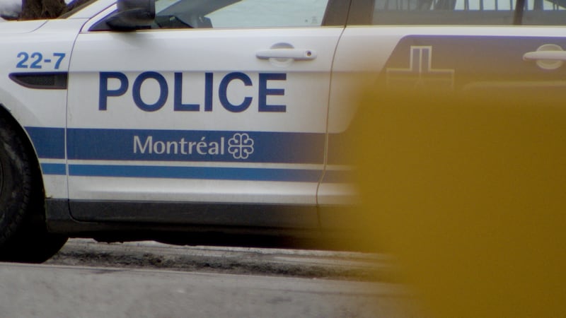 Pedestrian in hospital after being struck by vehicle in LaSalle