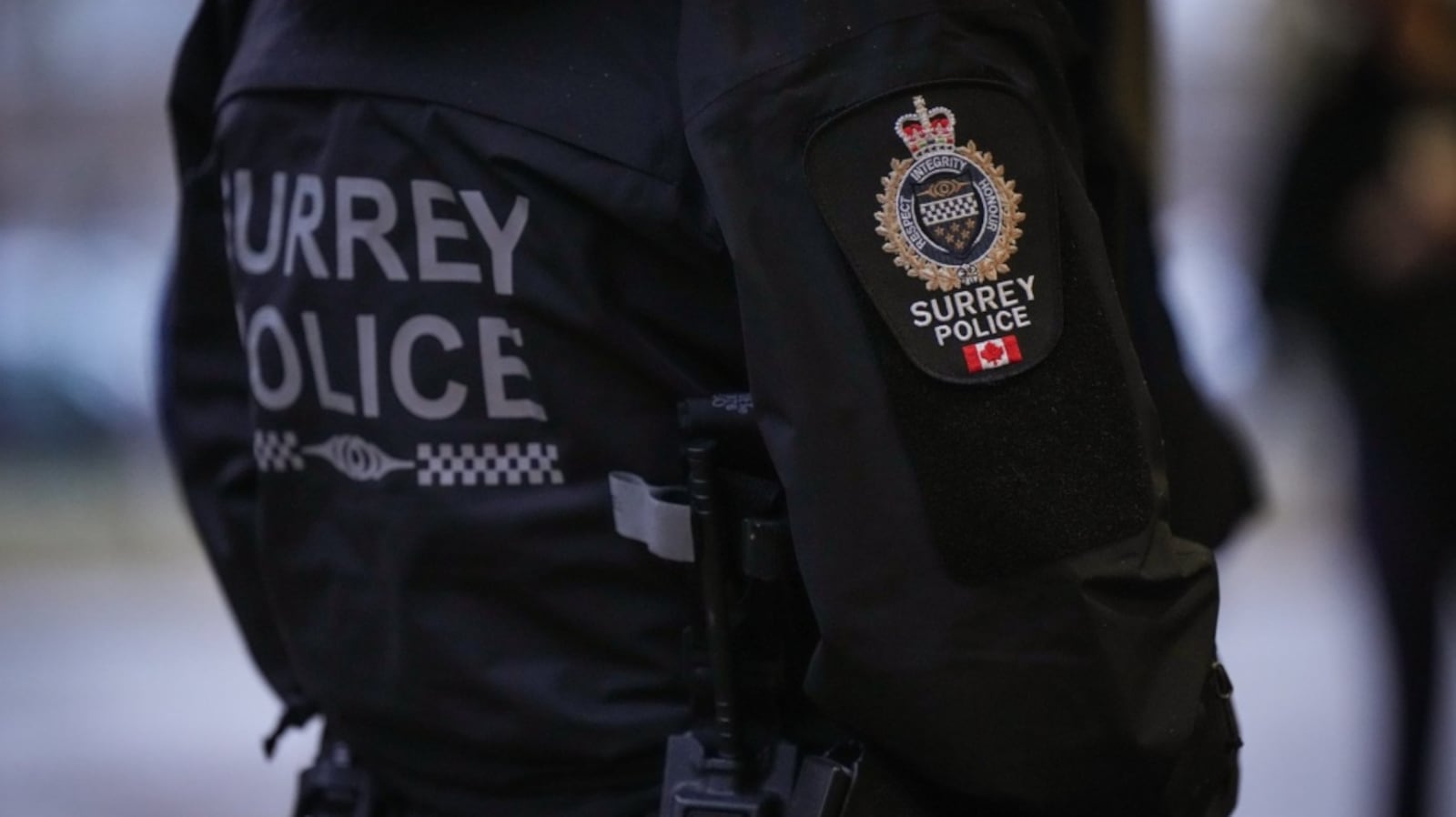 Car Rider Card Stolen luxury cars, credit cards, drugs, seized in Surrey after ...