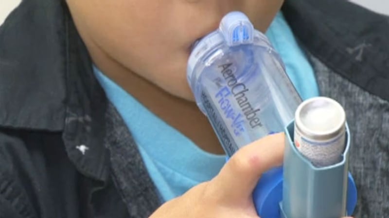 ‘Clear health equity issue’: N.B. charity offers free asthma inhaler spacers to those in need
