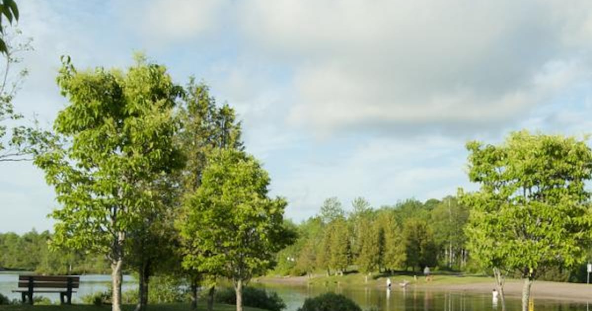 Fisher Lake in Saint John reopens for swimming