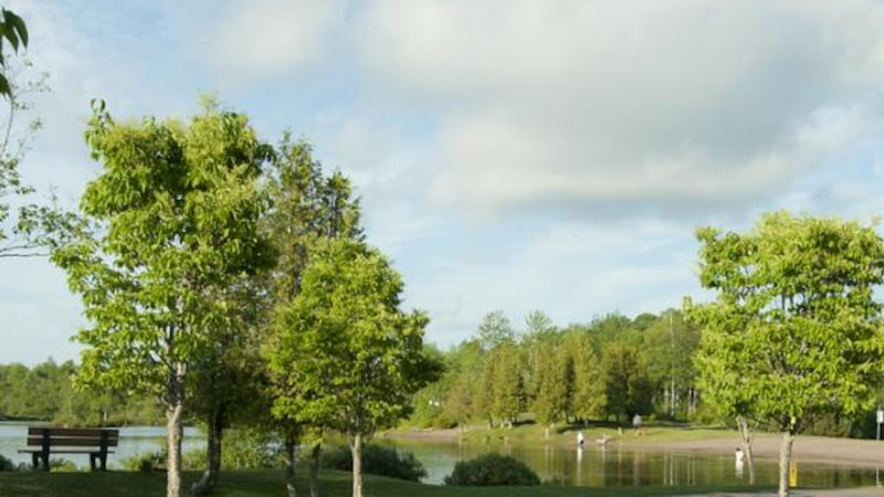 Fisher Lake in Saint John reopens for swimming
