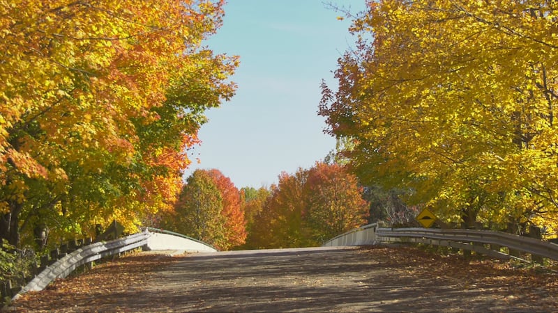 Stretch of sunny weather on the horizon for Ottawa