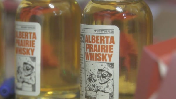 Alberta government plans to use AI to draft whisky legislation