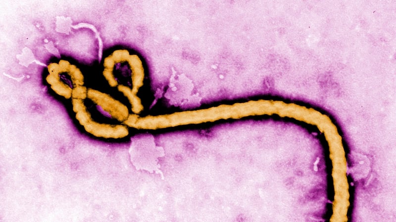 WHO declares global health emergency over Ebola outbreak in Congo and Uganda