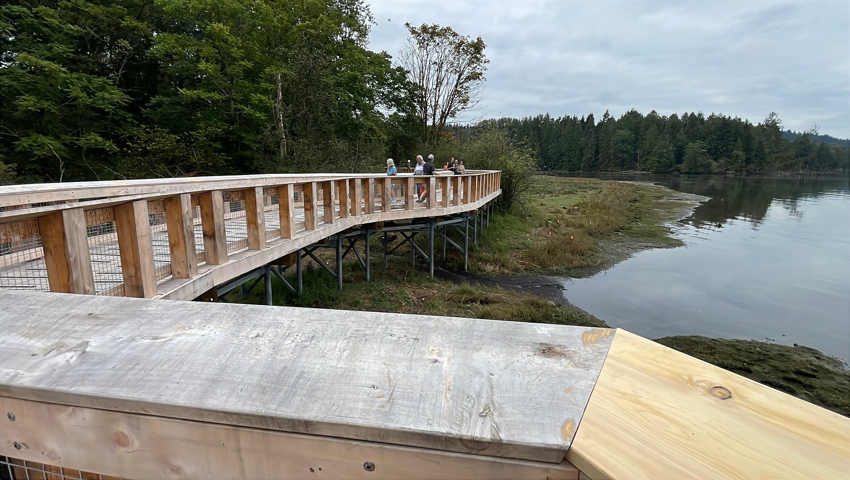 Shoreline Trail boardwalk